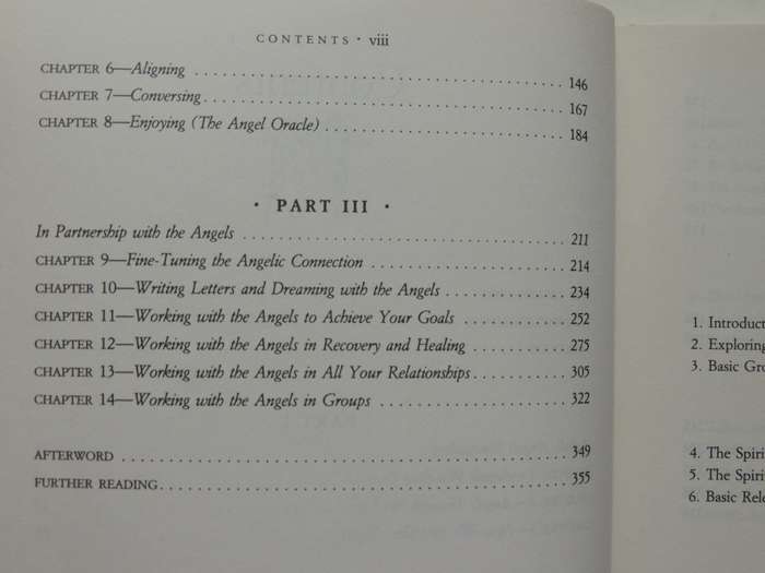 Ask Your Angels, A Practical Guide to Working with Your Angels to Enrich your Life - Alma Daniel