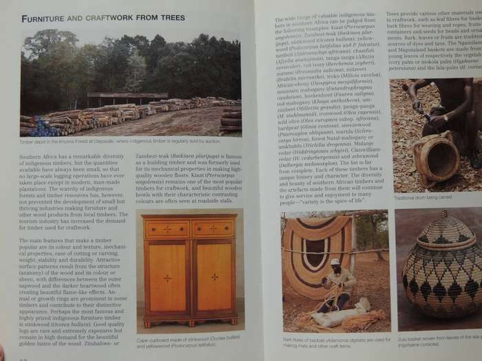 Photo Guide To Trees Of Southern Africa - Braam Van Wyk, Piet Van Wyk & Ben-Erik Van Wyk