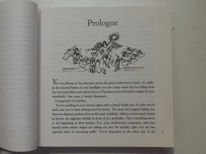 Ask Your Angels, A Practical Guide to Working with Your Angels to Enrich your Life - Alma Daniel