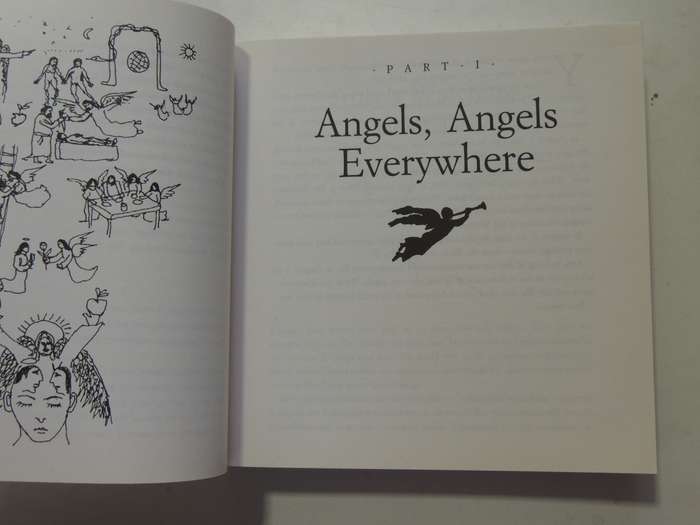 Ask Your Angels, A Practical Guide to Working with Your Angels to Enrich your Life - Alma Daniel