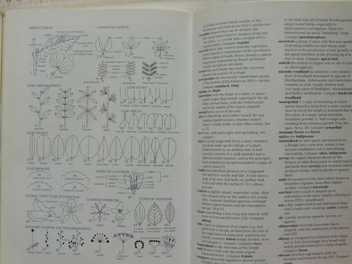 Photo Guide To Trees Of Southern Africa - Braam Van Wyk, Piet Van Wyk & Ben-Erik Van Wyk