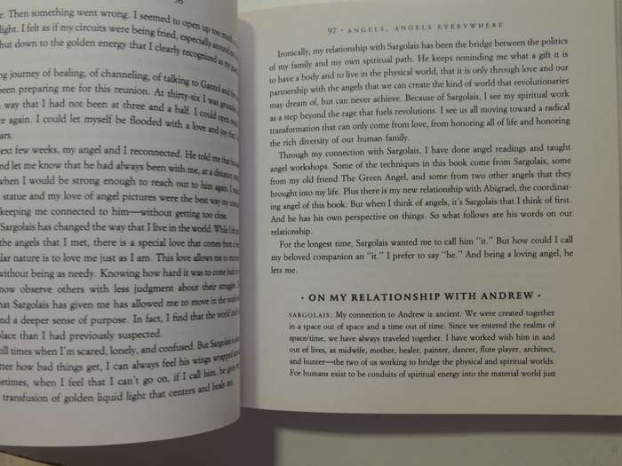 Ask Your Angels, A Practical Guide to Working with Your Angels to Enrich your Life - Alma Daniel