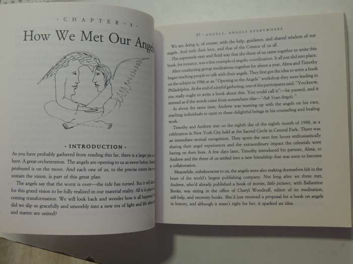 Ask Your Angels, A Practical Guide to Working with Your Angels to Enrich your Life - Alma Daniel