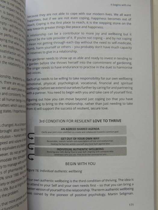 Uncomplicated Love: A Step-By-Step Guide To Building A Thriving Relationship - Shelley Lewin