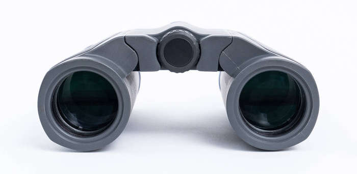 ZEISS Terra ED Pocket 10x25 Binoculars