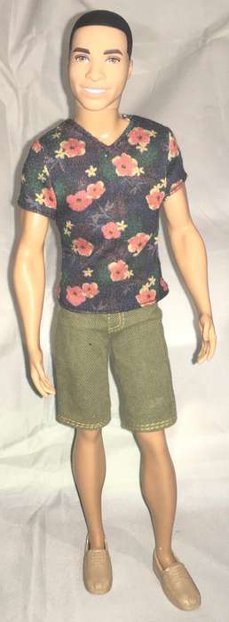 Barbie Fashionista Steven Ken doll (unboxed)