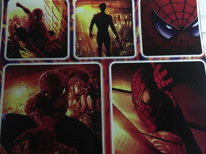 Spider Man and Green Goblin A4 sticker page