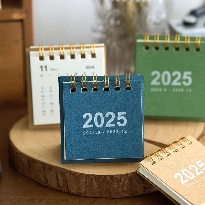 1pc 2024-2025 Mini Spiral Desk Calendar - Everyday View