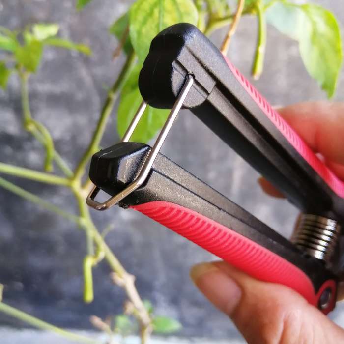 Pruning Shears