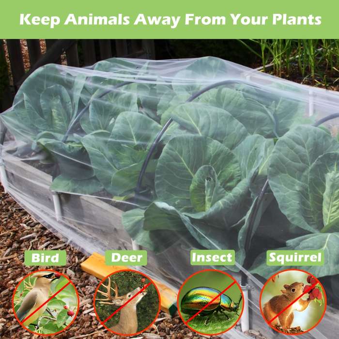 Garden Netting Insect Netting - Pe Material