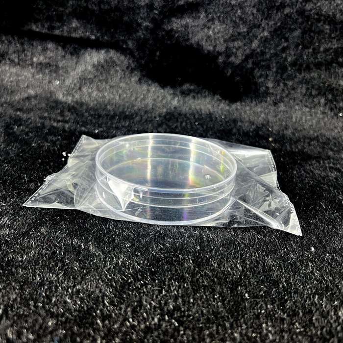 Transparent Plastic Storage Case