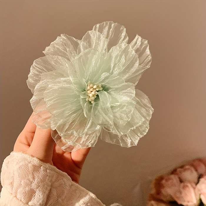 Hair Accessories