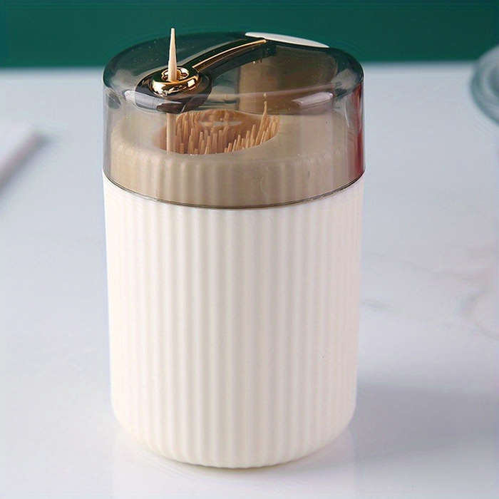 ToothPick Jar