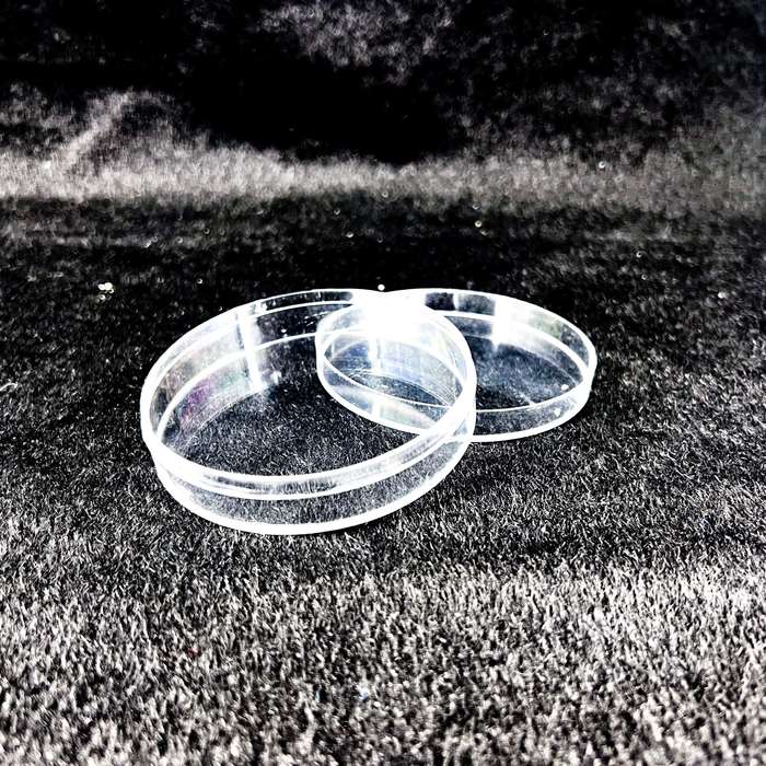 Transparent Plastic Storage Case