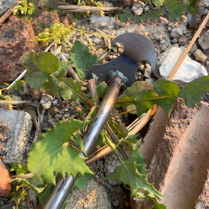 Durable Metal Weed Puller