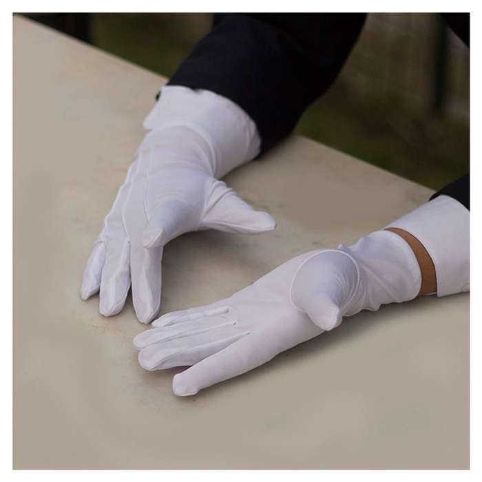 Gloves