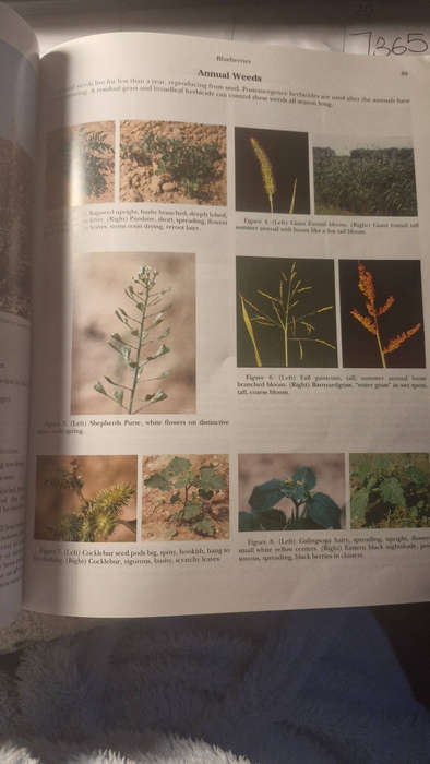 Protea Verbouing: Van Konsep tot Karton