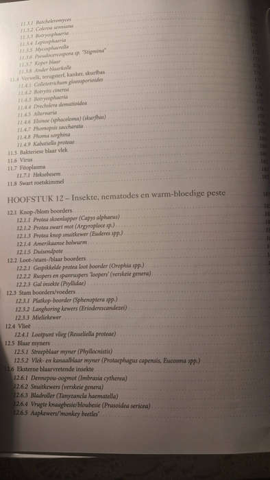 Protea Verbouing: Van Konsep tot Karton