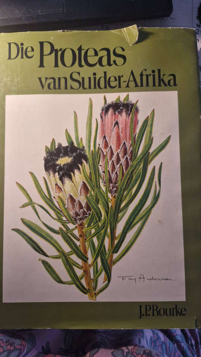 Die Proteas van Suider-Afrika deur JP Rourke