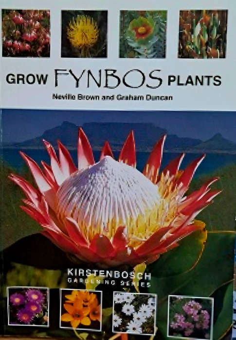 Grow Fynbos plants