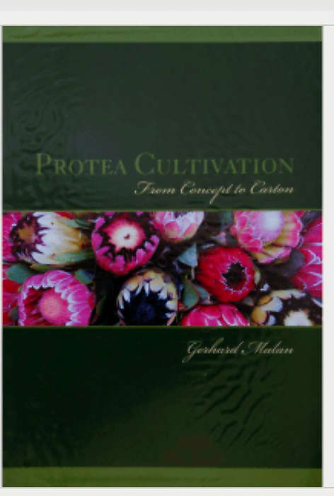 Protea Cultivation: from concept to carton