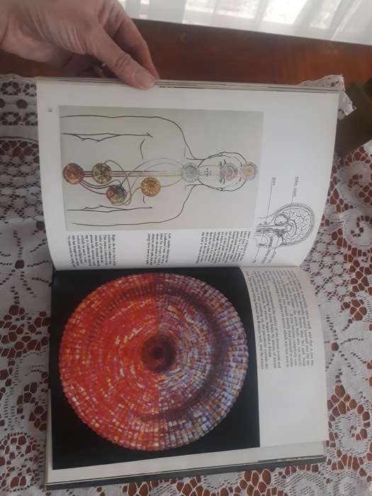 OCCULT COLLECTABLE BOOK  - PSYCHIC VOYAGES BY STUART HOLROYD - HARDCOVER BOOK