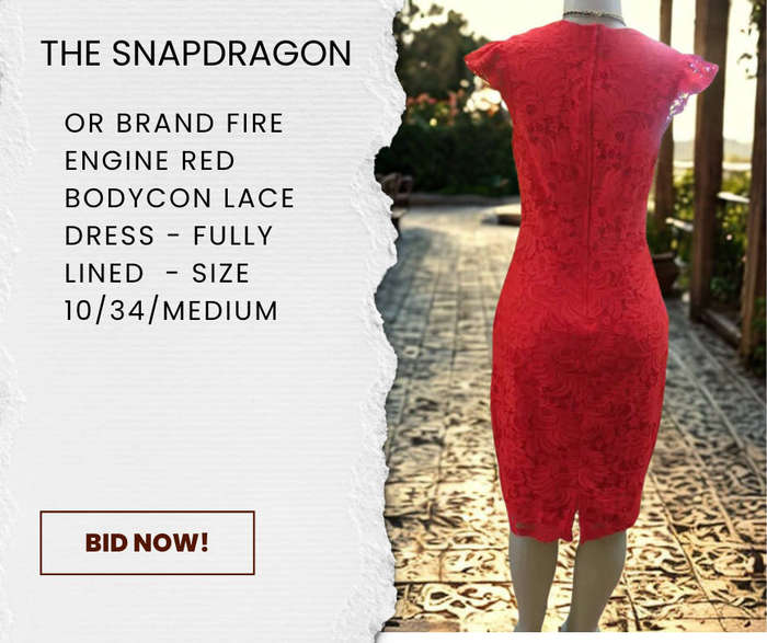OR BRAND - FIRE ENGINE RED BODYCON LACE DRESS - FULLY LINED