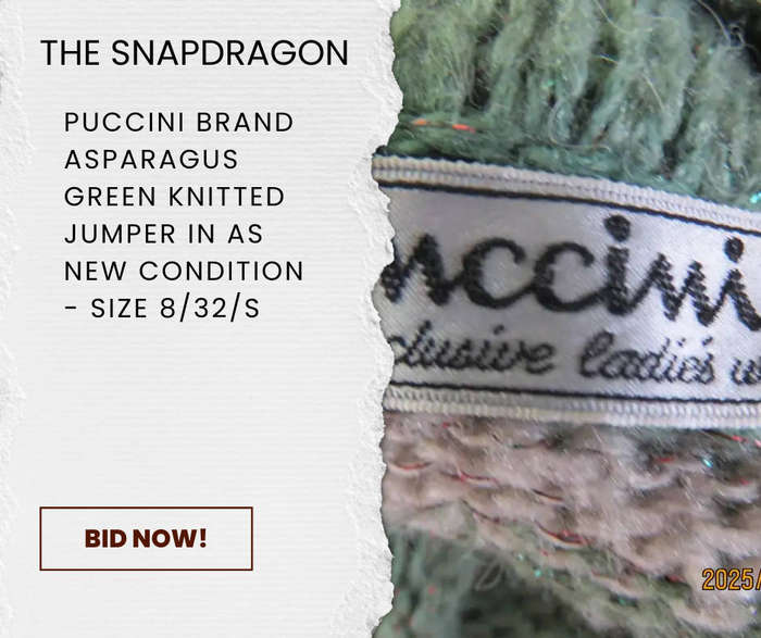 PUCCINI BRAND POLONECK JUMPER IN ASPARAGUS GREEN