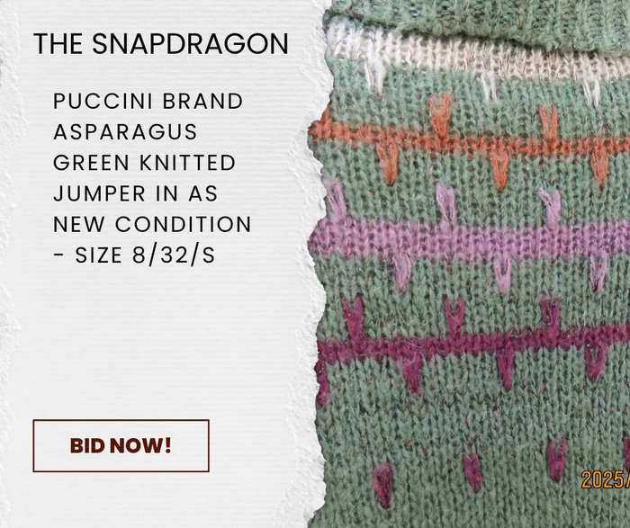 PUCCINI BRAND POLONECK JUMPER IN ASPARAGUS GREEN