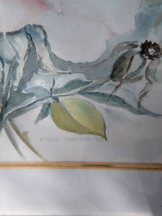 Cobi Theron 85 original watercolour of a bunch of roses framed