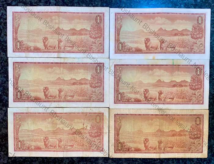 Tw De Jongh. R1 1967-1975 & 2X G Rissik 1966 - A series Springbuck wtm (1 bid takes all)