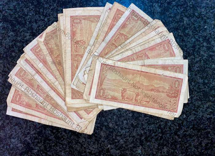 Tw De Jongh. R1 - B series 1973/75 (1 bid takes all 50 notes)