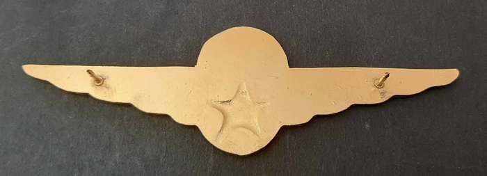 **RARE: Pre-1994 Kempton Park Traffic Dept. Parachute Wings ( All Pins).**
