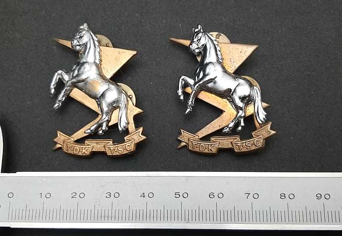 **Border War : 1980s SADF Technical Services Corps Collar Badge Pair (All Pins)**