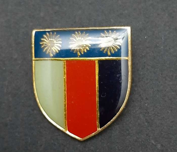 **Border War : 1980s/90s  SADF N/Transvaal Chief Joint Combat Forces Lapel Badge (Pins)**
