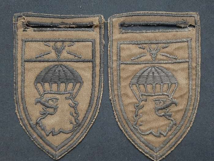 * *Border War : 1980s SADF 44 Parachute Brigade Nutria Embroid. Flashes x2 (L/F & R/F.**