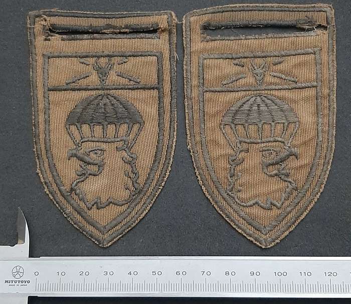 * *Border War : 1980s SADF 44 Parachute Brigade Nutria Embroid. Flashes x2 (L/F & R/F.**