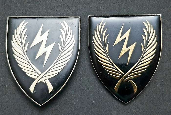 **RARE Border War : 1980s SADF  11 S.A.I.  Lucite Flashes Pair ( Pins Intact) **