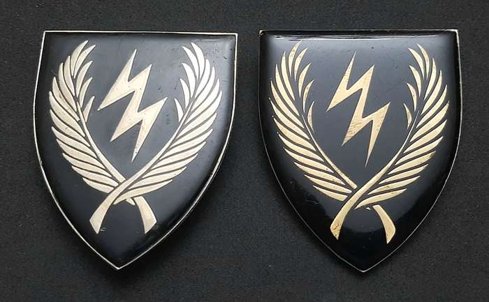 **RARE Border War : 1980s SADF  11 S.A.I.  Lucite Flashes Pair ( Pins Intact) **