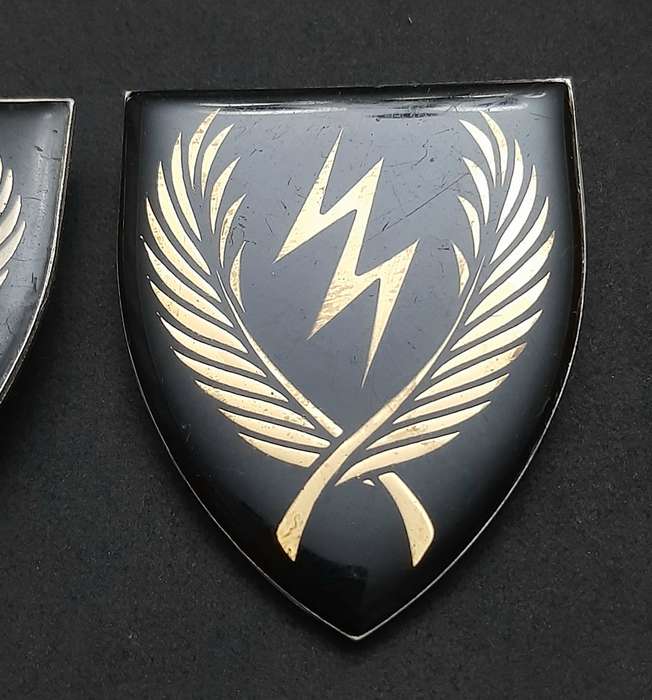 **RARE Border War : 1980s SADF  11 S.A.I.  Lucite Flashes Pair ( Pins Intact) **