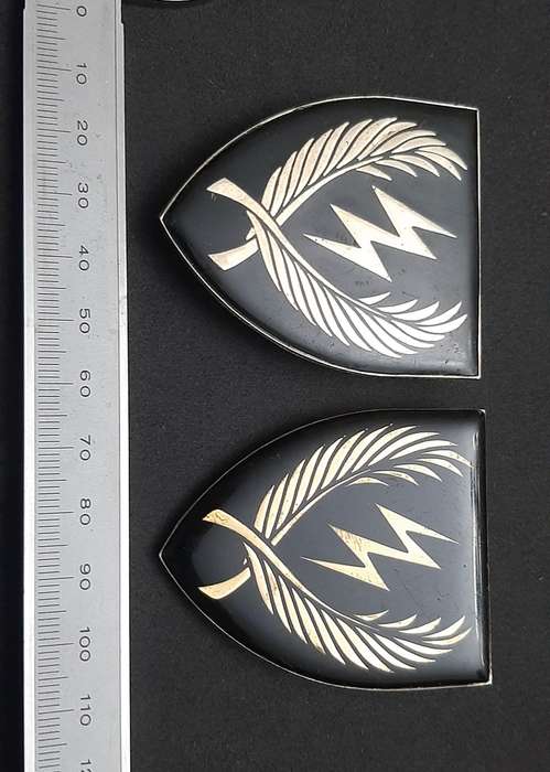 **RARE Border War : 1980s SADF  11 S.A.I.  Lucite Flashes Pair ( Pins Intact) **
