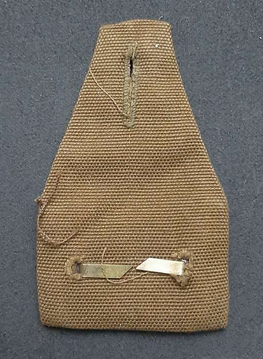 **Border War : 1980s SADF Cadet Corps Nutria & Lucite Pocket Fob Badge**