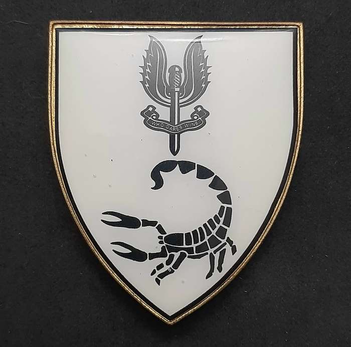 **RARE: 1980s Prototype 6 Reconnaissance Regiment 'Recce' Flash .NOT ISSUE.  ( All Pins).**