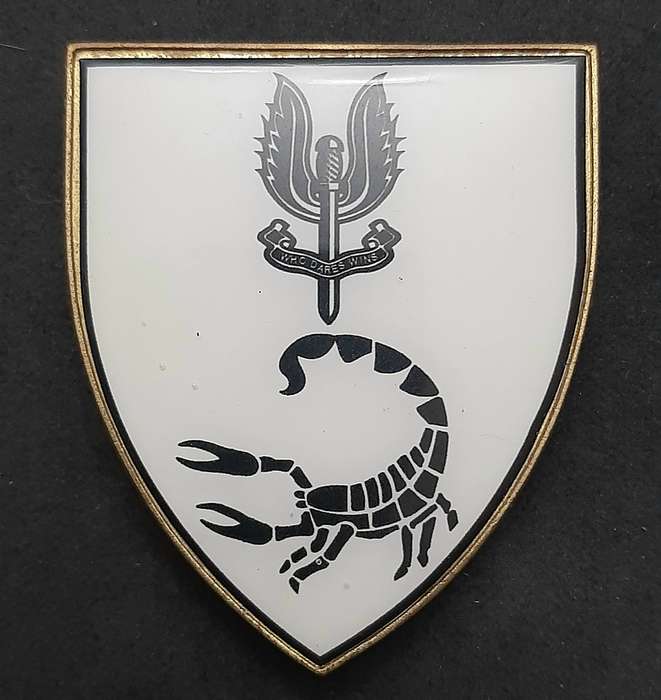 **RARE: 1980s Prototype 6 Reconnaissance Regiment 'Recce' Flash .NOT ISSUE.  ( All Pins).**