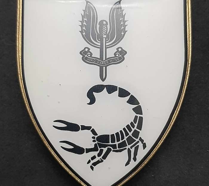 **RARE: 1980s Prototype 6 Reconnaissance Regiment 'Recce' Flash .NOT ISSUE.  ( All Pins).**