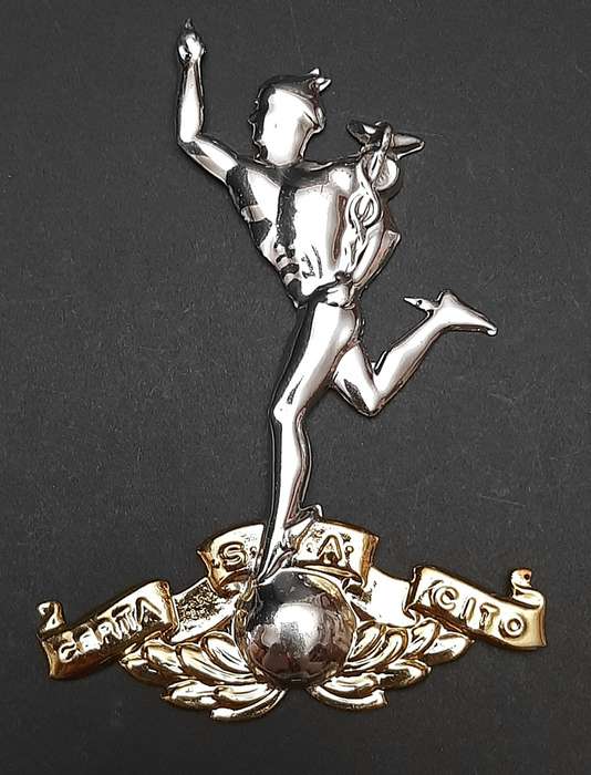 1980s Border War: SADF Signals Corps Metallic Plaque Mount Escutcheon (12cm x 8cm).