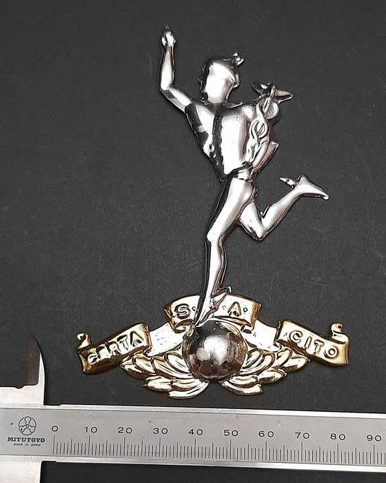 1980s Border War: SADF Signals Corps Metallic Plaque Mount Escutcheon (12cm x 8cm).