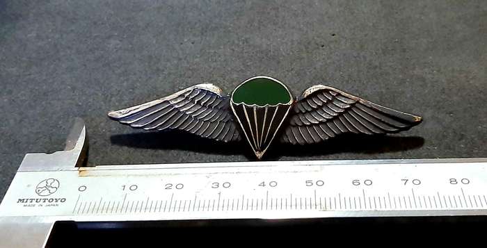 RARE: Border War-  1970s SADF Unofficial Parachute Batt. 'Night Test Jump' Wing w/ Enamel Inlay
