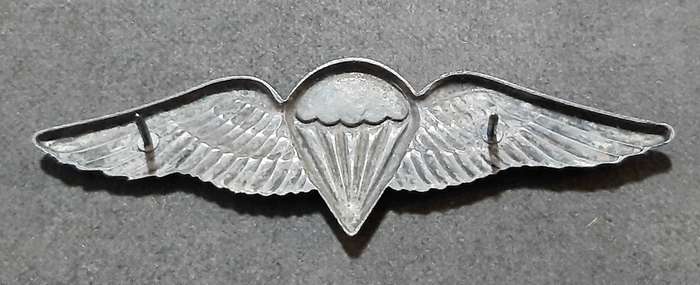 RARE: Border War-  1970s SADF Unofficial Parachute Batt. 'Night Test Jump' Wing w/ Enamel Inlay