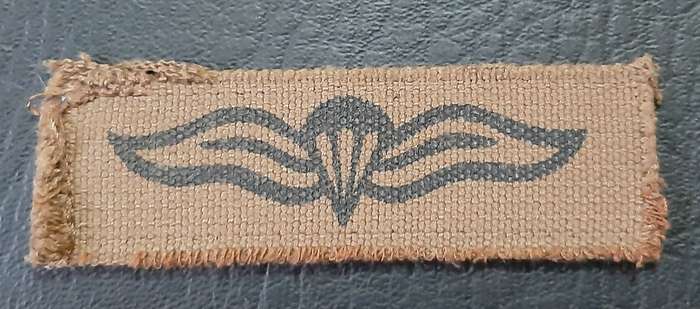 Border War: 1980s SADF Nutria Printed Static-Line Parachute Wing Qualification Badge (ex-Mount).